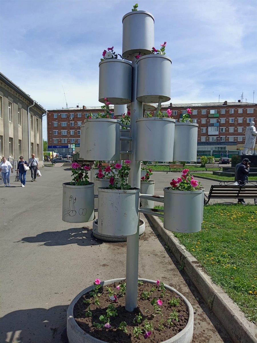 Началось традиционное озеленение города! | 28.05.2024 | Новости Тулуна -  БезФормата